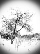 IMG 20131212 001243
