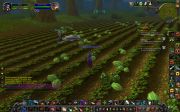 WoWScrnShot 011614 203216