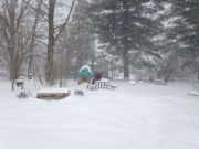 IMG 6919
