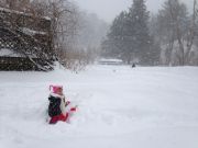IMG 6924