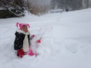 IMG 6926