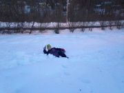 IMG 6953