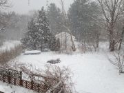 IMG 7065