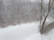 IMG 7072