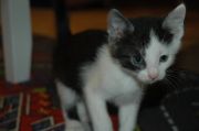 DSC 0837