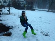 IMG 4975