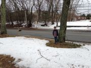 IMG 4991
