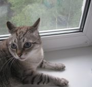 IMG 5616 - 