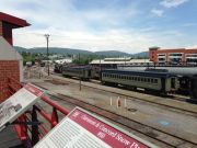 IMG 6955