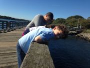 IMG 7666