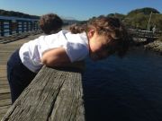 IMG 7668