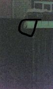 image.jpeg