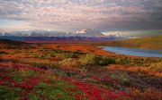 Tundra in autumn