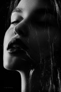 Portrait. Studio A. Krivitsky.