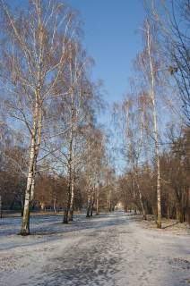 DSC00702
