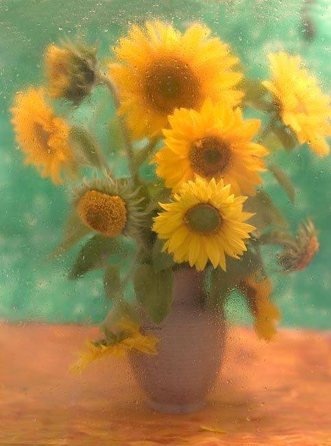  Vincent van Gogh - -2