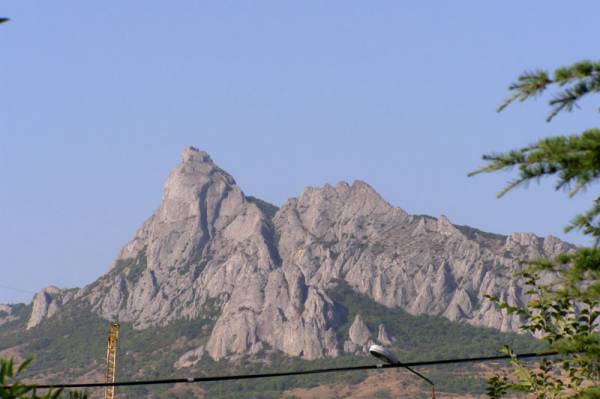 ��� �� ����. ���������