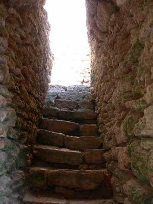 ������: ����� �������