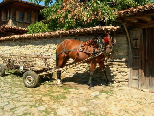 ������� ������