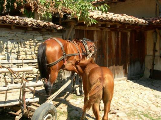 �������