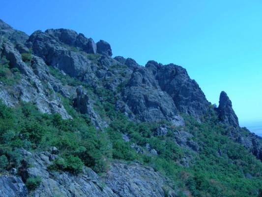 ����� ����