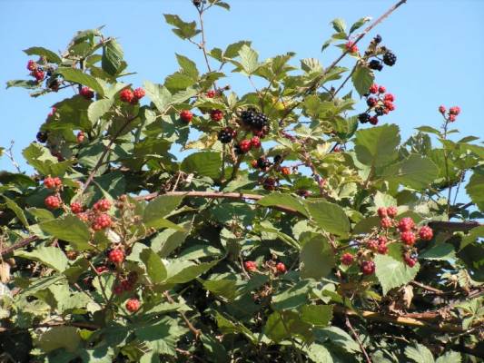 �������