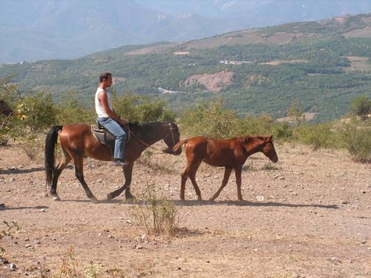 �������