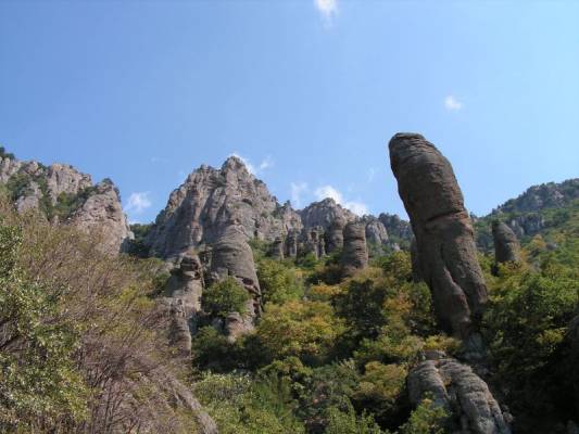 ������ ����������