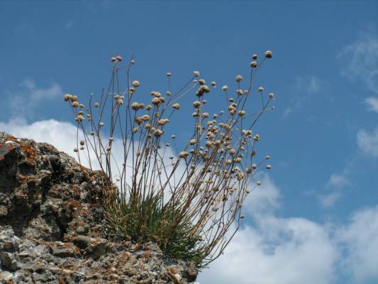 �������� ��������������