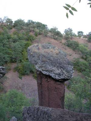 �������� ����