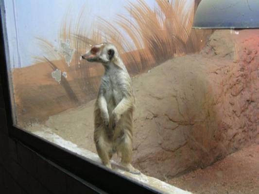 ������������ ������