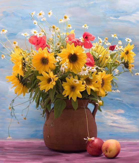 �������