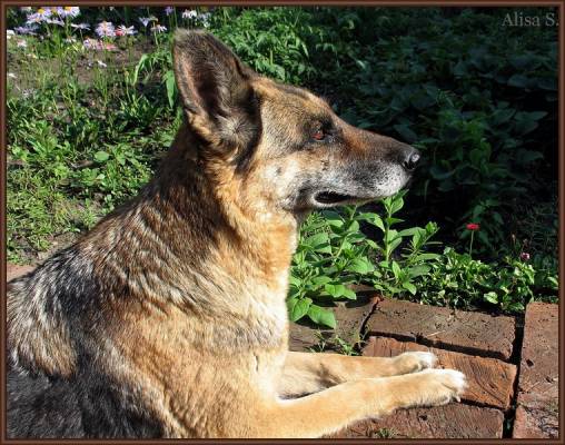 ��� �������! 