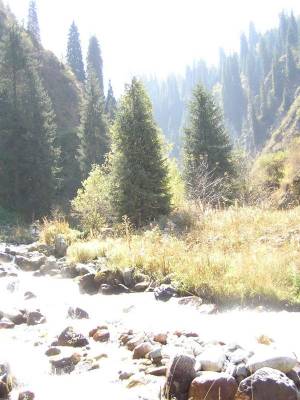 ���� ����