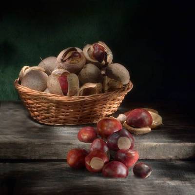 ��������� � ���������  1