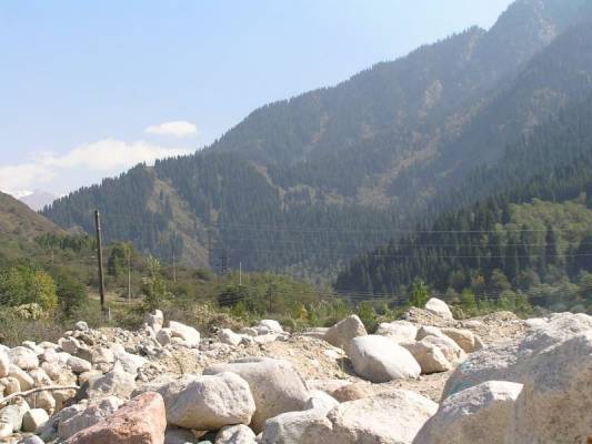 ���� ������