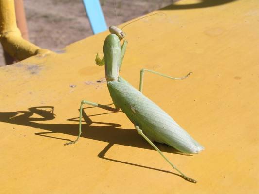 �������� ������� � ������