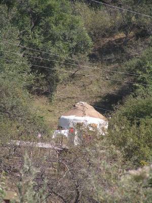 ���� ������ � �����