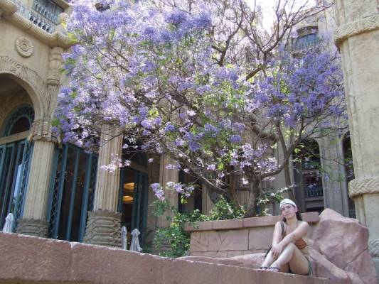sun city