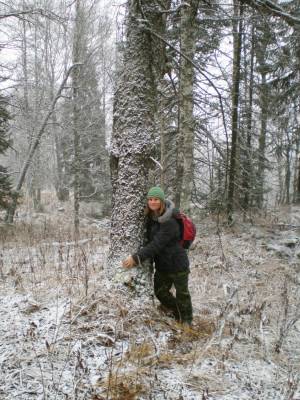 rejoicing in winter
