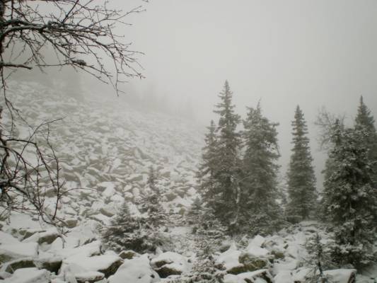 about 200-300 metres from the top