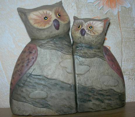 ���� (��������, ��������)