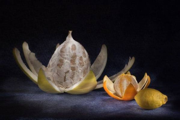 ���������� - ������, ��������. �����