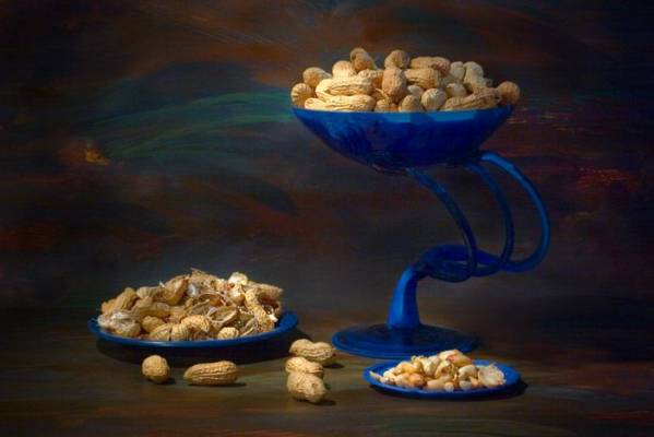 �������� ����