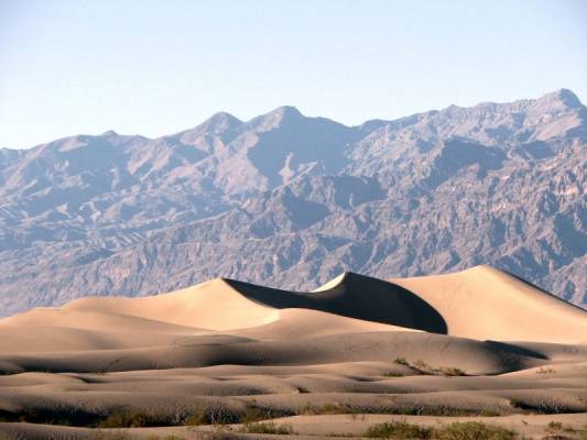 The dunes