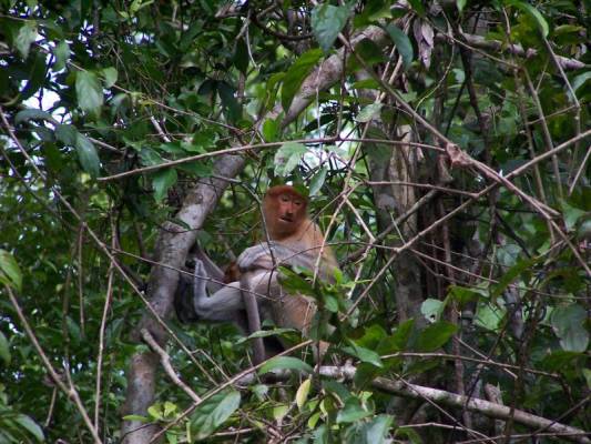 ��������� ����� �����������