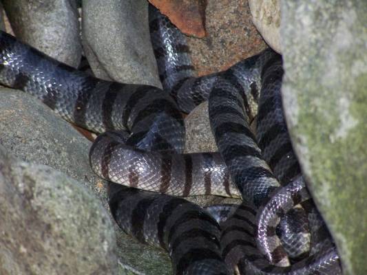 ������� ���� �� ����