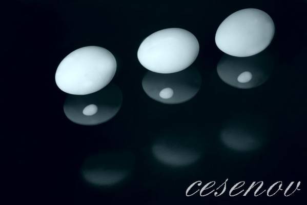 ������� ��� ������ �������