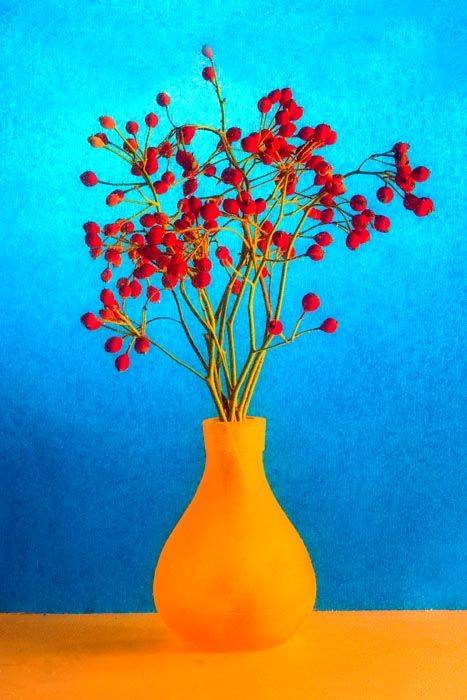 ������  ����� �� ��� ������