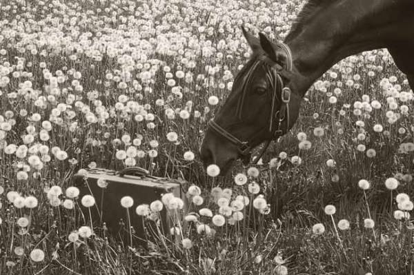 ������ ����� � ����